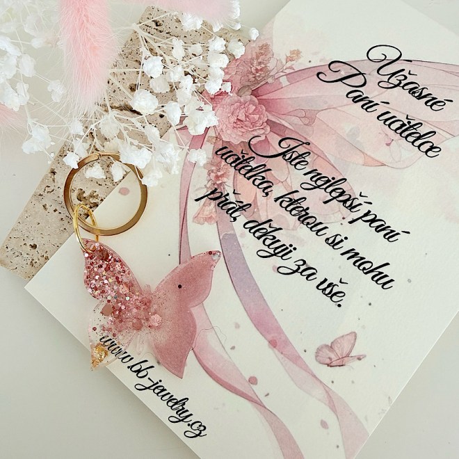 darek-pro-pani-ucitelku-od-zaku-klicenka-motylek4